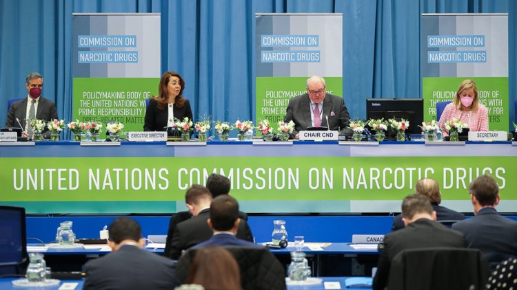 End ‘war on drugs’ and promote policies rooted in human rights: UN experts