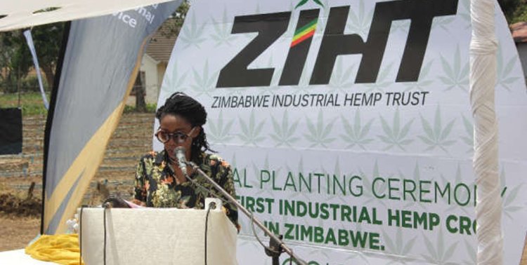 Zimbabwe: Hemp Use In Medicines Allowed For The First Time