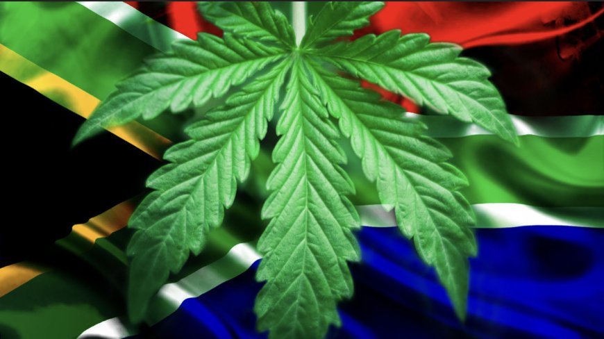 South Africa Makes History as First African Country to Legalize Marijuana Use